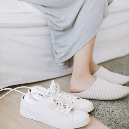 Glixor Shoe Dryer