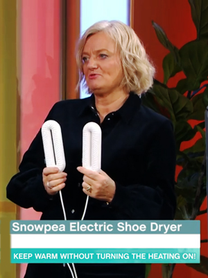 Glixor Shoe Dryer